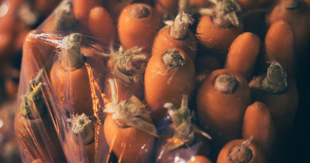 You Won't Believe Carrots Were Purple Before Orange