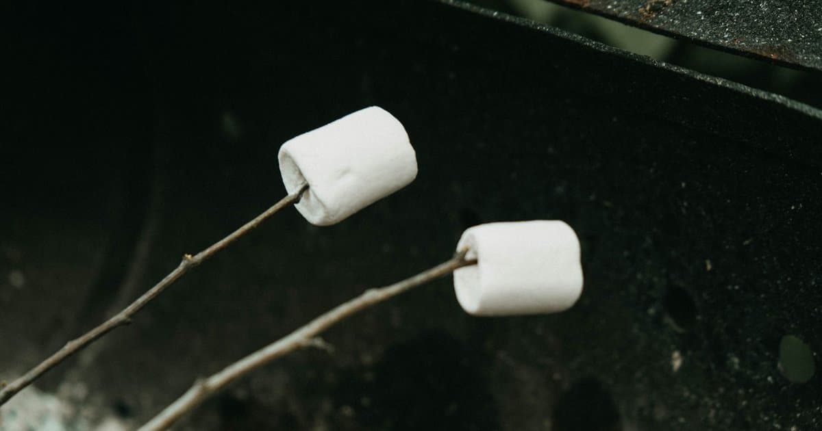 Why the Marshmallow Test Was Never About Willpower