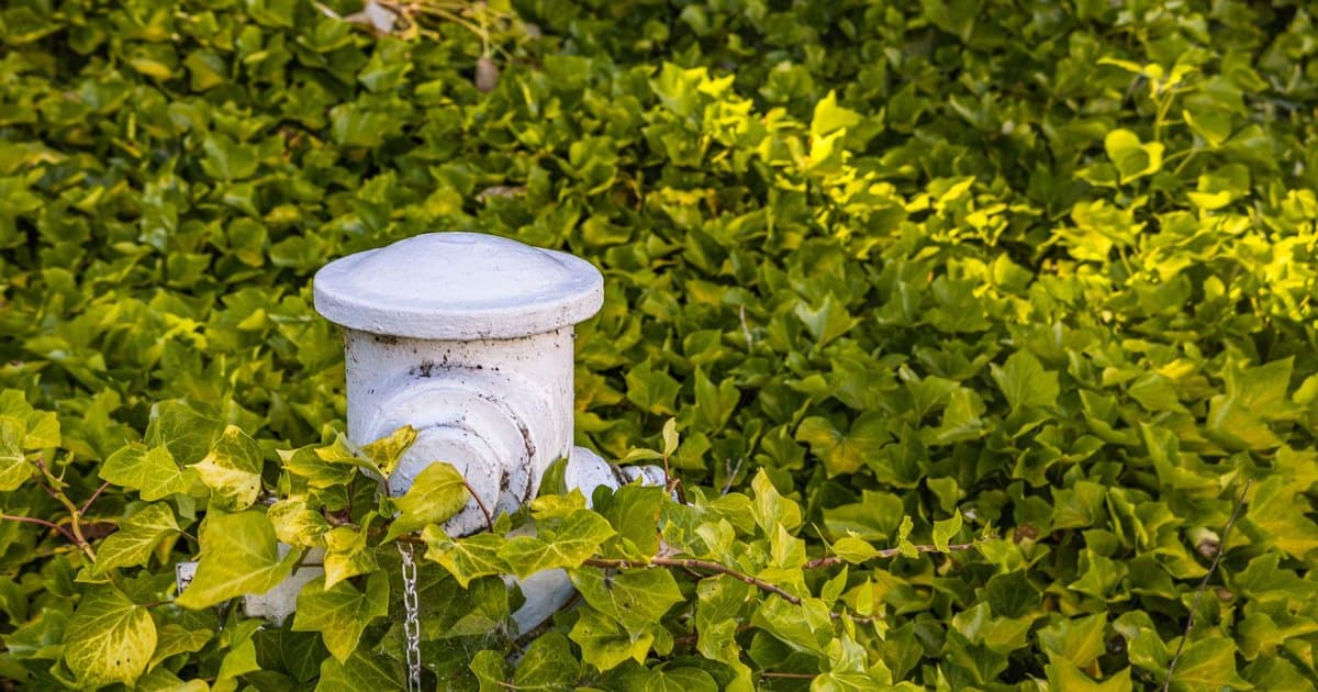 What a Fire Hydrant's Color Could Mean in an Emergency