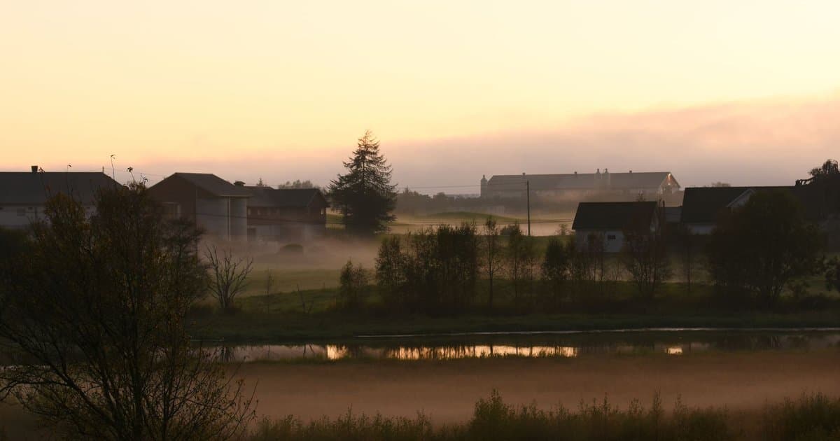 Why Are Early Morning Flights Less Likely to Be Delayed?