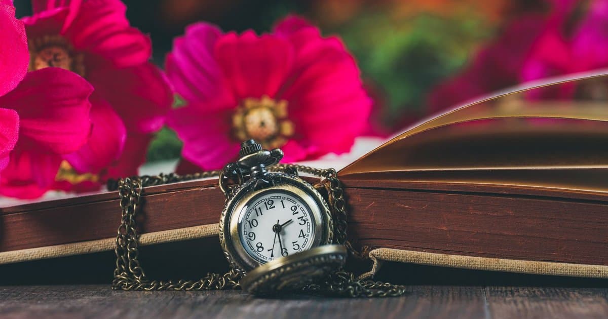 What 20 Minutes of Daily Reading Adds Up To