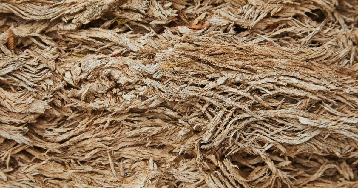 What Too Little Fiber Is Quietly Doing to You
