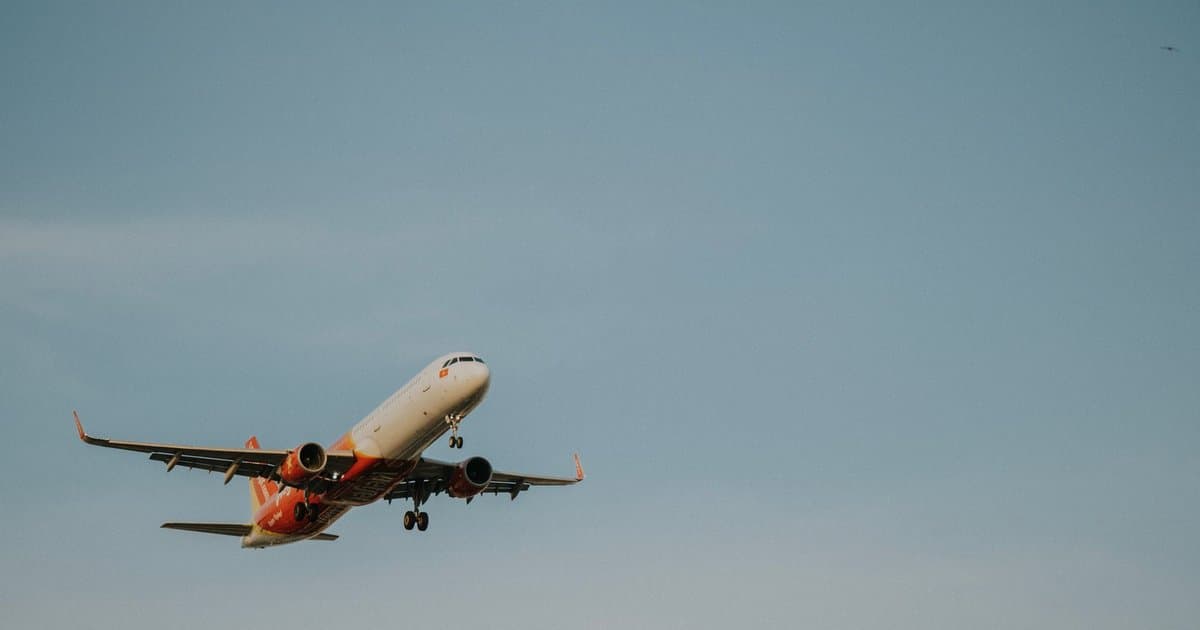 What Your Airline Owes You for a Lost Bag