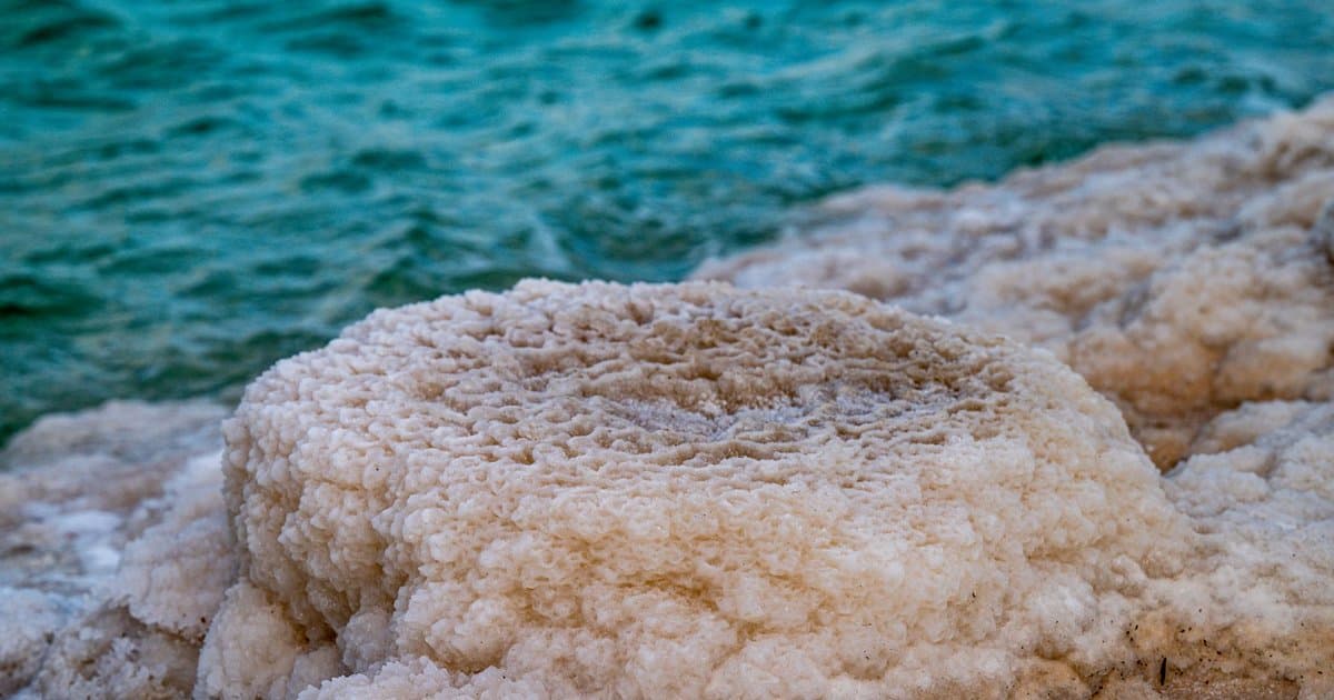What the Dead Sea Scrolls Revealed About the Bible