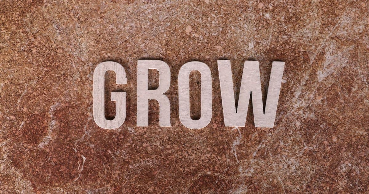 You Do Not Need a Niche to Grow Online