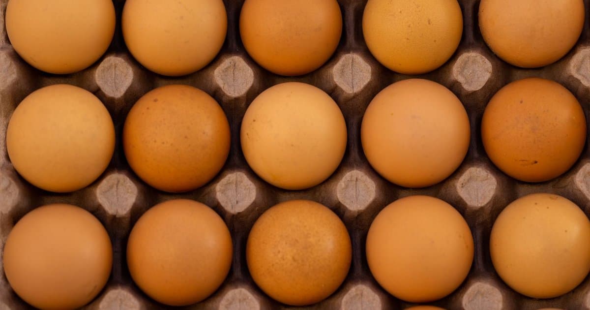 Brown Eggs Are Not Healthier Than White Eggs