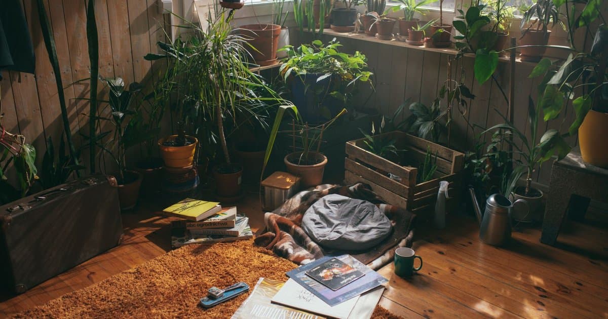 Your Home Does Not Need to Be Minimalist to Feel Calm