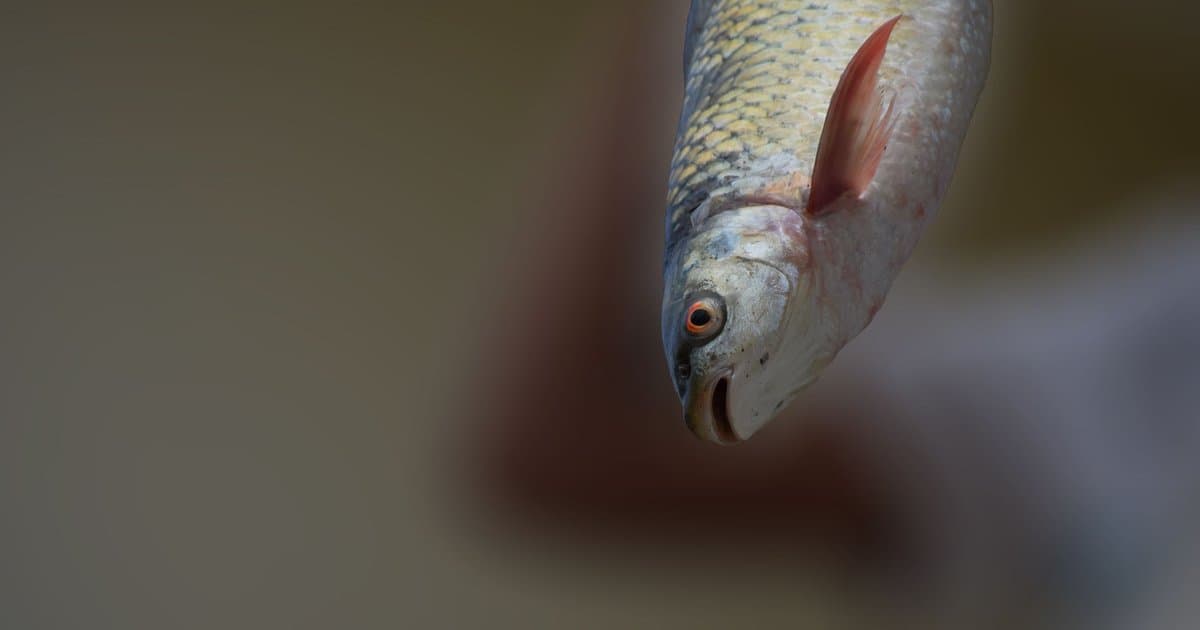 The Catch Hidden Inside Those '0% Interest' Offers
