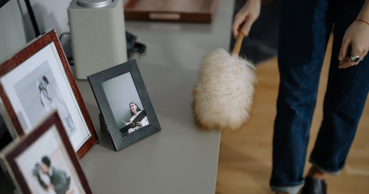 Household Dust Is Not Mostly Your Dead Skin