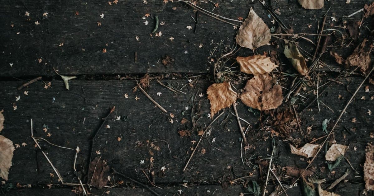 Why Does Your Faith Feel Dry Right Now?