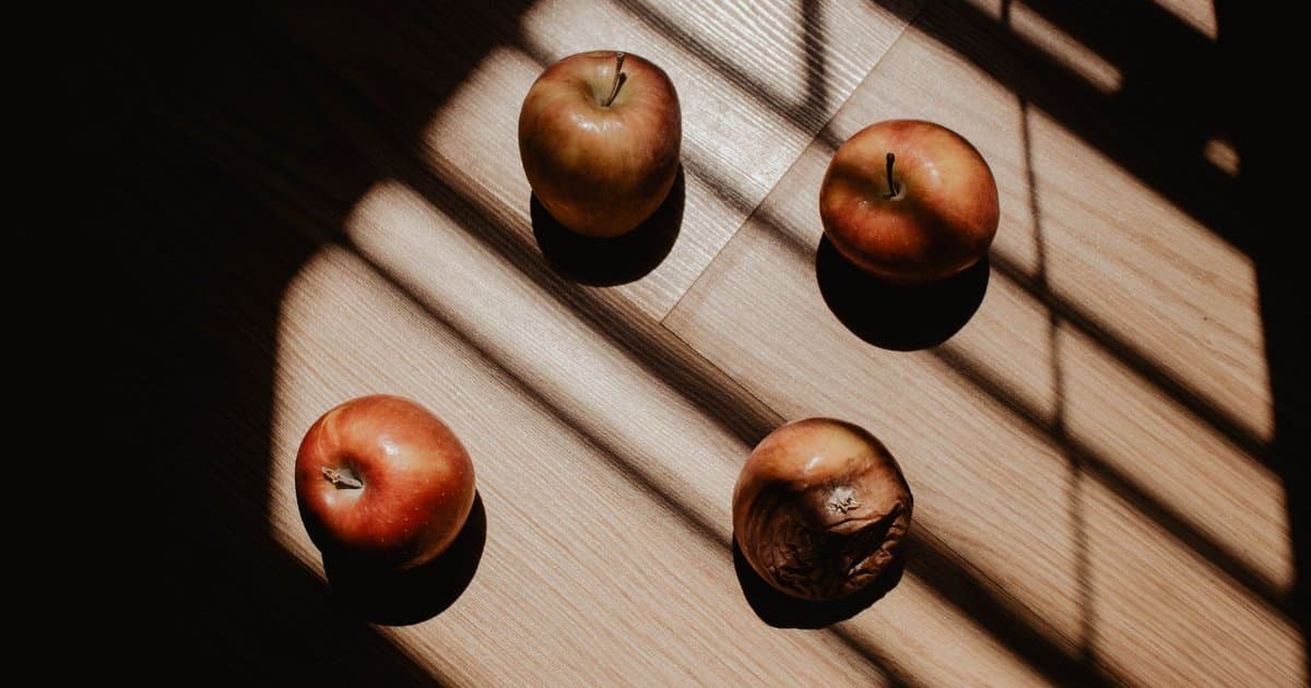 What a Rotten Tomatoes Score Doesn't Actually Tell You