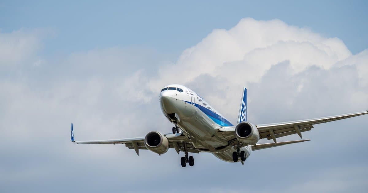 Why Do Airline Pilots Eat Different Meals?