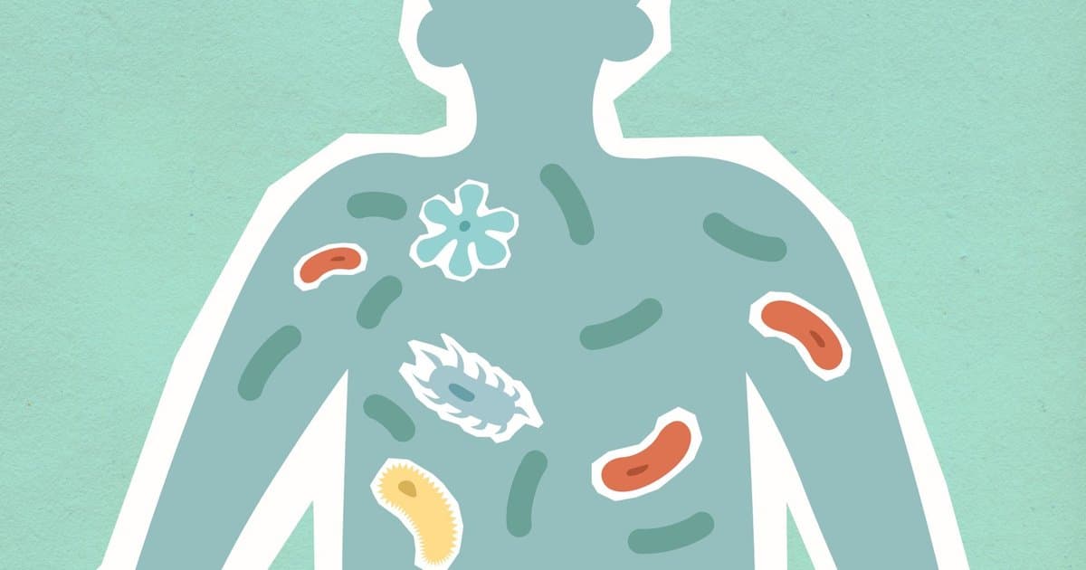 Your Body Holds About 37 Trillion Cells Right Now
