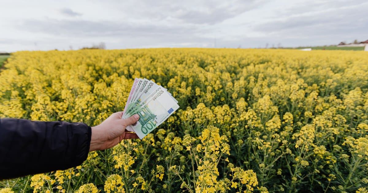 What Does It Really Mean When Bond Yields Rise?