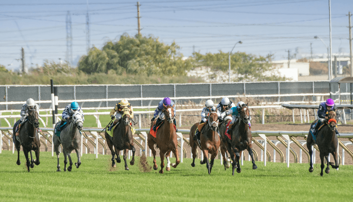 The Kentucky Derby Field Is Set and the Betting Market Has a Clear Favorite
